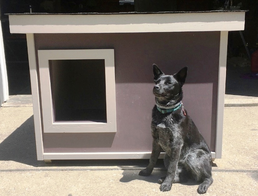 dog house plans