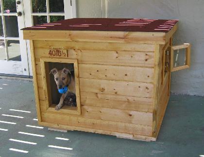 Free  House Plans on Law Enforcement Dog House Plans Customer Page