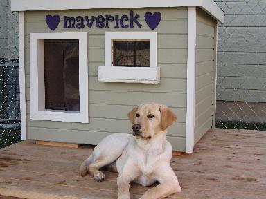 Maverick - Idaho